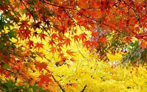 说明: //mmbiz.qlogo.cn/mmbiz_jpg/5Gr225Hkh6TEZY47heiaLITEmicZjsKTiaGRdFgIKrygClLEYG0fvV1mAvNwZcr96amHs2sb3IDCjYByICItplUibA/640?wx_fmt=jpeg